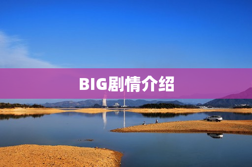 BIG剧情介绍
