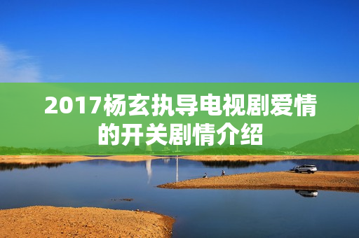 2017杨玄执导电视剧爱情的开关剧情介绍
