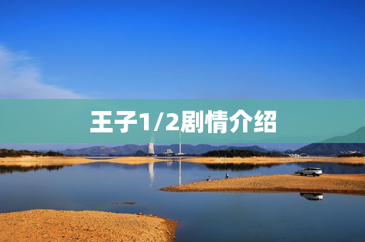 王子1/2剧情介绍