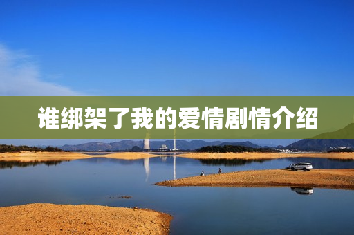 谁绑架了我的爱情剧情介绍 谁绑架了我的爱情剧情介绍