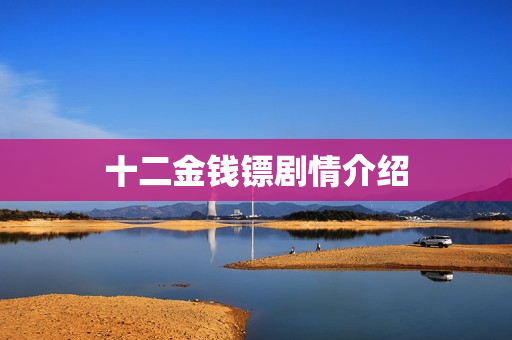 十二金钱镖剧情介绍