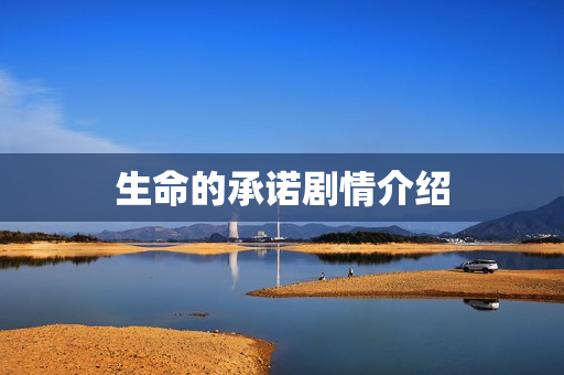 生命的承诺剧情介绍