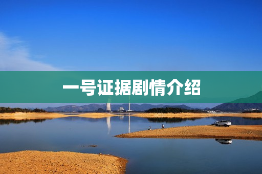 一号证据剧情介绍