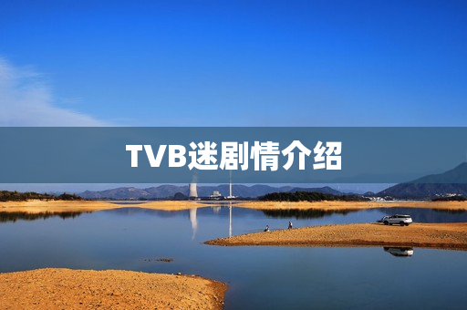 TVB迷剧情介绍