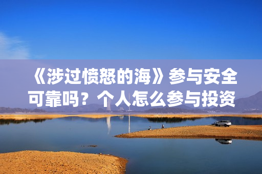 《涉过愤怒的海》参与安全可靠吗？个人怎么参与投资？(涉过愤怒的海事件原型)