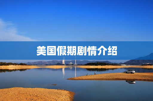 美国假期剧情介绍