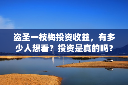 盗圣一枝梅投资收益，有多少人想看？投资是真的吗？(盗侠一枝梅)