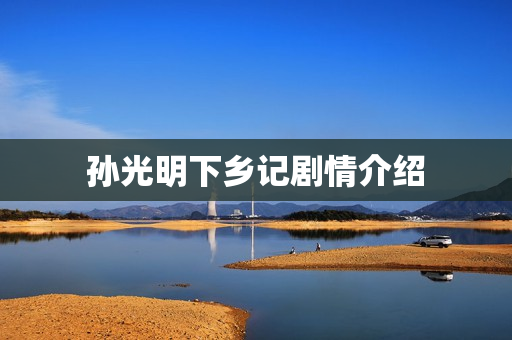 孙光明下乡记剧情介绍