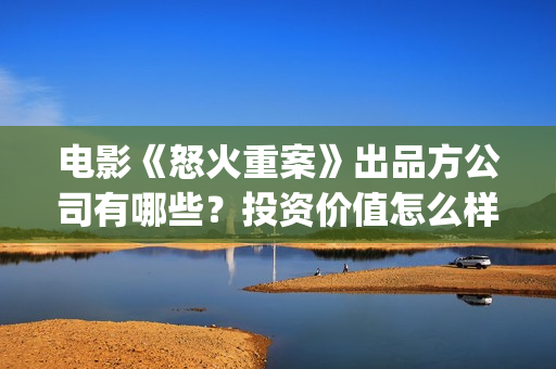 电影《怒火重案》出品方公司有哪些？投资价值怎么样？找谁投资？(电影《怒火重案》演员表)
