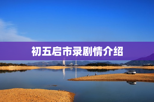 初五启市录剧情介绍