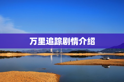 万里追踪剧情介绍