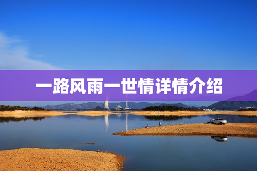 一路风雨一世情详情介绍
