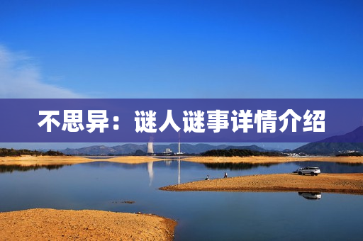 不思异：谜人谜事详情介绍