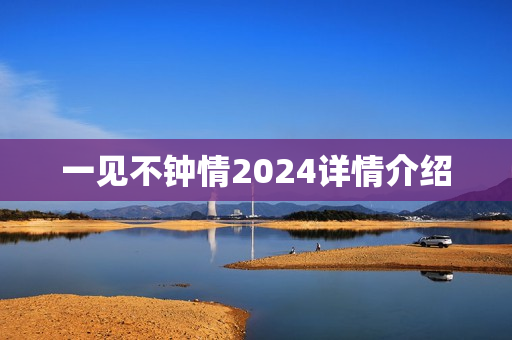 一见不钟情2024详情介绍