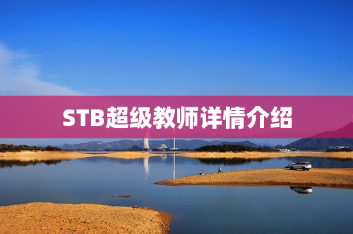 STB超级教师详情介绍