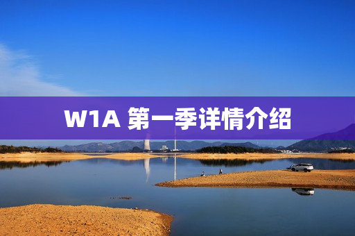 W1A 第一季详情介绍