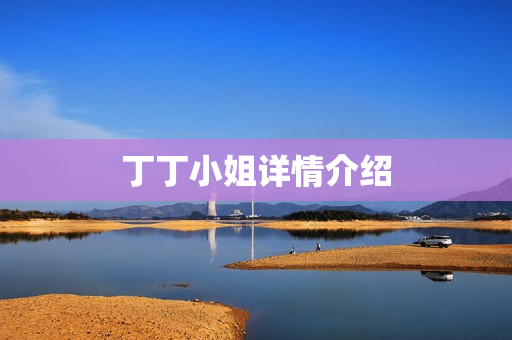 丁丁小姐详情介绍