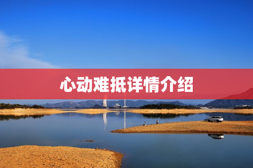 心动难抵详情介绍