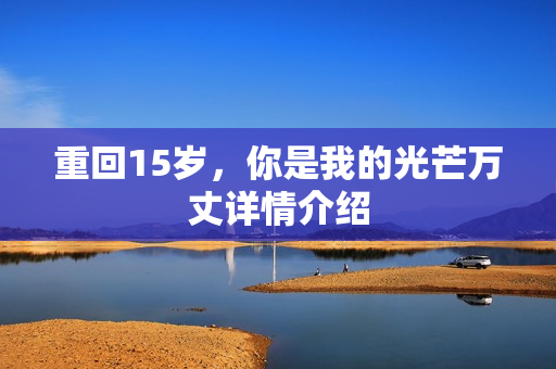 重回15岁，你是我的光芒万丈详情介绍