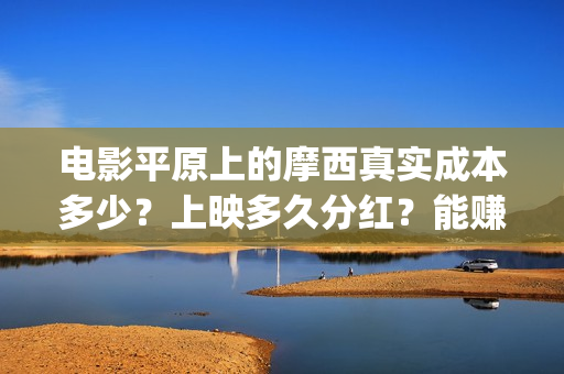 电影平原上的摩西真实成本多少？上映多久分红？能赚钱吗？(《平原上的摩西》迷雾剧场)