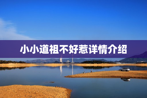 小小道祖不好惹详情介绍