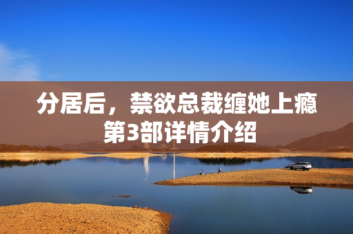 分居后，禁欲总裁缠她上瘾 第3部详情介绍