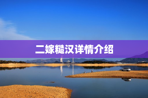 二嫁糙汉详情介绍