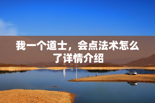 我一个道士，会点法术怎么了详情介绍