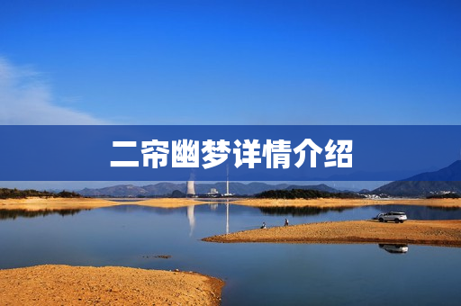 二帘幽梦详情介绍