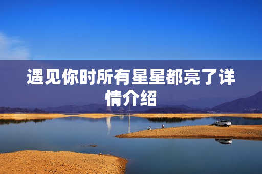 遇见你时所有星星都亮了详情介绍