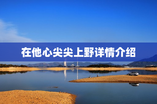 在他心尖尖上野详情介绍