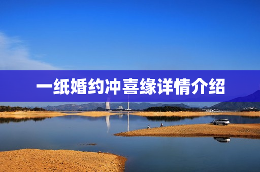 一纸婚约冲喜缘详情介绍