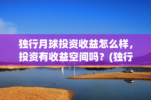 独行月球投资收益怎么样，投资有收益空间吗？(独行月球成本)