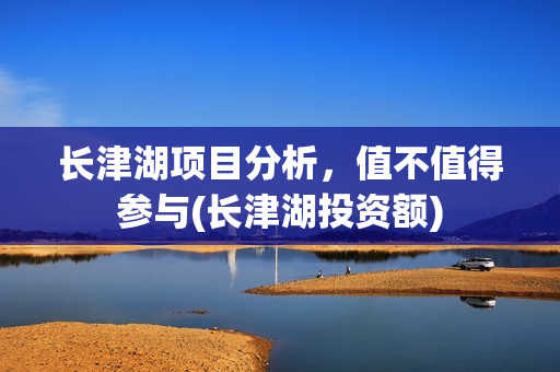 长津湖项目分析，值不值得参与(长津湖投资额)