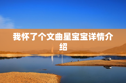 我怀了个文曲星宝宝详情介绍