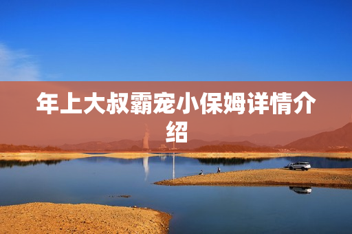 年上大叔霸宠小保姆详情介绍