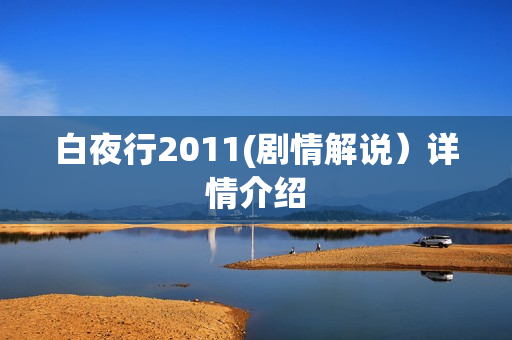 白夜行2011(剧情解说）详情介绍