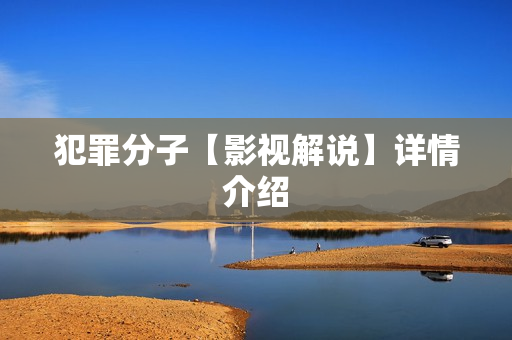 犯罪分子【影视解说】详情介绍