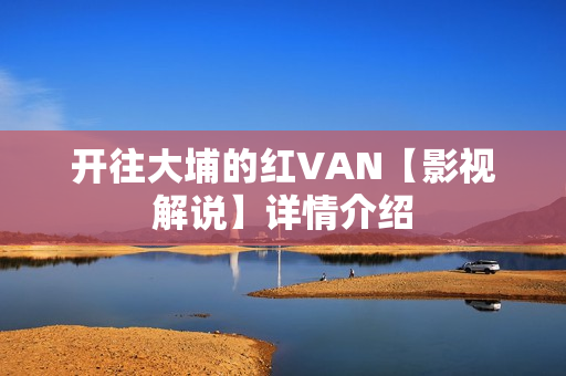 开往大埔的红VAN【影视解说】详情介绍