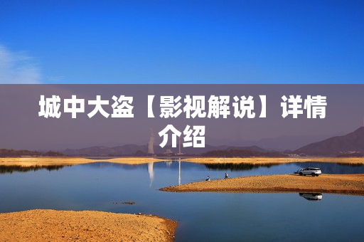 城中大盗【影视解说】详情介绍