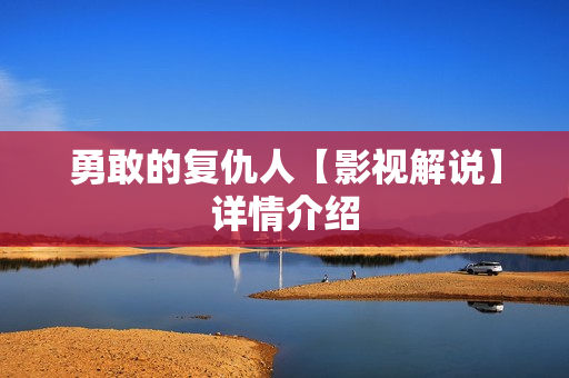 勇敢的复仇人【影视解说】详情介绍