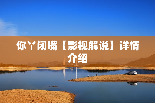 你丫闭嘴【影视解说】详情介绍