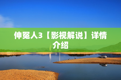 伸冤人3【影视解说】详情介绍