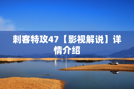 刺客特攻47【影视解说】详情介绍