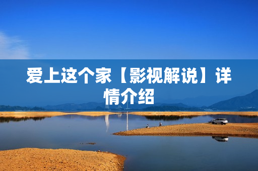爱上这个家【影视解说】详情介绍