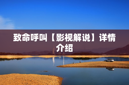 致命呼叫【影视解说】详情介绍 致命呼叫【影视解说】详情介绍