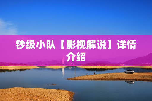 钞级小队【影视解说】详情介绍