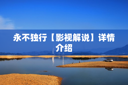 永不独行【影视解说】详情介绍