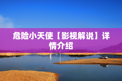 危险小天使【影视解说】详情介绍