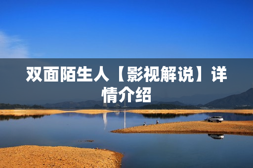 双面陌生人【影视解说】详情介绍